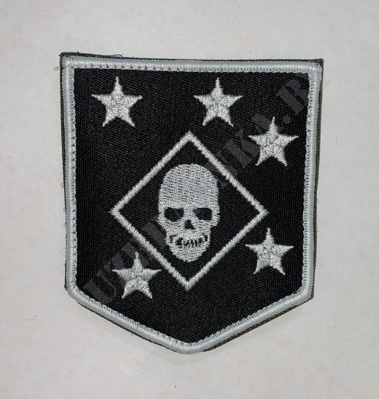 MARSOC Marine Raiders. MARSOC Raiders Шеврон. MARSOC нашивка. Marine Raiders Шеврон.